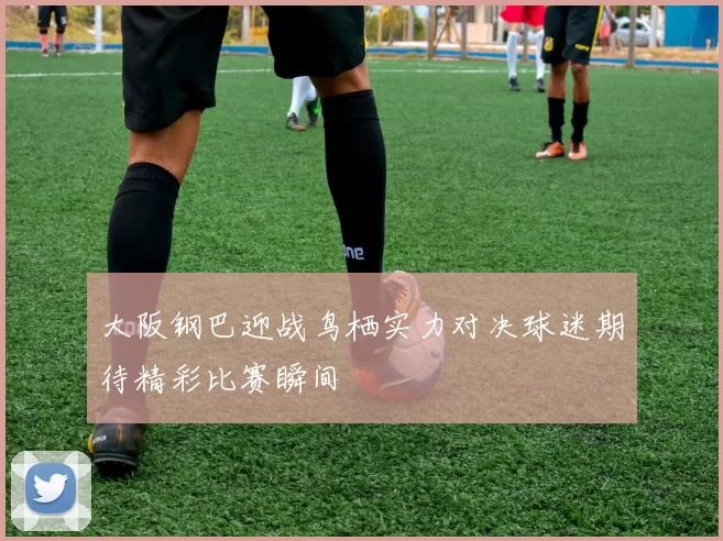 大阪钢巴迎战鸟栖实力对决球迷期待精彩比赛瞬间